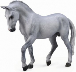 M&auml;ngukujuke Collecta Trakehner Stallion 88733, 14.5 cm, hall v.