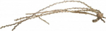 Akvaariumi dekoratsioon Terra Natura Liana Root, pruun v., 100 cm