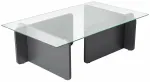 Kohvilaud Nordure Flavio, l&auml;bipaistev v./must v./hall v., 65 cm x 105 cm x 30 cm