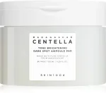 N&auml;gu kooriv padjake Skin1004 Madagascar Centella Tone Brightening Dark Spot, 130 ml
