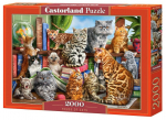 Pusle Castorland Hause of cats 2000 el. 200726, 92 cm x 68 cm, 2000 tk, mitmev&auml;rviline