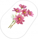 Vannitoa p&otilde;randamatt Foutastic Sitivo 359CHL4950, valge/roosa, 100 cm x 80 cm