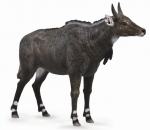 M&auml;ngukujuke Collecta Nilgai 88764, 10.7 cm, pruun v.