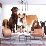 Fototapeet Artgeist Animal Portrait - Dogs With A Brown Labrador In The Centre On A White Background, 280 cm x 400 cm