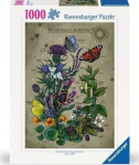 Pusle Ravensburger Lifecircle Butterfly, 70 cm x 50 cm, 1000 tk, mitmev&auml;rviline