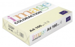 V&auml;rviline paber Antalis Image Coloraction, A4, 80 g/m&sup2;, kollane v., 29.7 cm x 21 cm