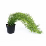 Kunsttaim Domoletti, roheline, 46 cm