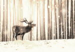 Fototapeet Artgeist Deer In The Snow (Sepia), 70 cm x 100 cm