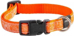 Kaelarihm koertele Rogz Alphinist, oranž v., 340 - 560 mm x 20 mm, 34-56