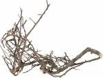 Akvaariumi dekoratsioon Terra Natura Japanese Root 42040, must v., 15 cm