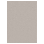 Vaip sise Ayyildiz 601105400, beež v., 110 cm x 60 cm