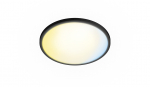 Valgusti lagi Philips Valen, LED, 2200 - 6500 &deg;K, 1 x 22 W