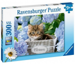 Pusle Ravensburger Tortoiseshell Kitty 12894, 49 cm x 36 cm, 300 tk, mitmev&auml;rviline