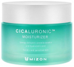 N&auml;okreem Mizon Cicaluronic Moisturizer, 120 ml