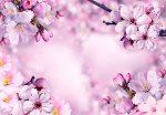 Fototapeet Artgeist Say Hello To Spring, 70 cm x 100 cm