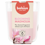 K&uuml;&uuml;nal, l&otilde;hna Bolsius Blooming Magnolia, 45 h, Roosa