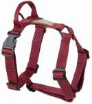 Koerte traksid Amiplay Guard Midnight, bordoo, 500 - 750 mm x 25 mm, L