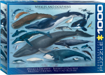 Pusle Eurographics Whales And Dolphins 6000-0082, 67.6 cm x 48.9 cm, 1000 tk, sinine v./valge v.