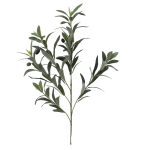 Kunstoks, oliivipuu Domoletti, roheline v., 48 cm
