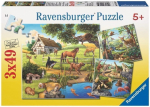 Pusle 3in1 Ravensburger Forest - Zoo - Domestic Animals 09265, 18 cm x 18 cm, 147 tk, mitmev&auml;rviline