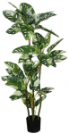 Kunsttaim potis, monstera Splendid Variegated V-130, roheline v., 130 cm x 13 cm