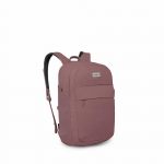 Seljakott Osprey Arcane XL Day, violetne v., 30 l