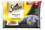 Kassi m&auml;rgtoit Sheba Selection in Sauce Poultry, linnuliha, 0,085 kg x 4 tk