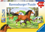 Pusle 2in1 Ravensburger World of Horses, 48 tk