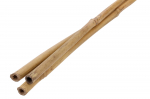 Taimetugi, 120 cm, bambus, 3 tk