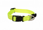 Kaelarihm koertele Rogz Utility Classic, kollane, 200 - 310 mm x 11 mm, 20-31