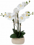 Kunsttaim potis, orhidee Home4you Wind In Garden, beež v., 55 cm