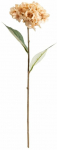 Kunstlill Homla Fortens, beež, 52 cm