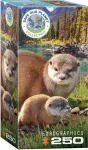 Pusle Eurographics Save Our Planet Otters 8251-5558, 48.26 cm x 33.02 cm, 250 tk, mitmev&auml;rviline