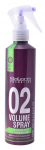 Juuksesprei Salerm 02, 250 ml
