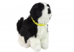 Interaktiivne m&auml;nguasi Border Collie 12698, 19 cm, universaalne, valge/must