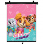 P&auml;ikesekaitse Paw Patrol, 45 cm x 36 cm, mitmev&auml;rviline