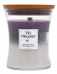 K&uuml;&uuml;nal, l&otilde;hna WoodWick Amethyst Sky Trilogy, 65 h, 275 g, Valge v./Violetne v.