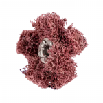 Lihvketas Pferd PNST 25-2 A80 Coarse, 25 mm