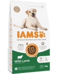 Kuiv koeratoit IAMS Vitality Adult Large, lambaliha, 3 kg