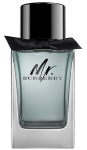 Tualettvesi Burberry Mr. Burberry, 150 ml