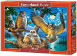 Pusle Castorland Owl Family 500 el. B-53322, 500 tk