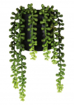 Kunsttaim potis Splendid Sedum, roheline v., 24 cm
