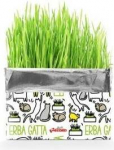 Kassimaius Record Fresh Catnip, 0.12 kg