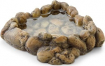 Akvaariumi dekoratsioon Exo Terra 8275, 0.1 l, pruun v., 12.5 cm
