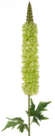 Kunstlill 357, roheline, 108 cm