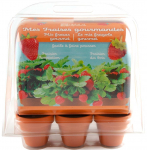 Taimekasvatuse komplekt Radis Et Capucine My First Greenhouse Strawberries, punane