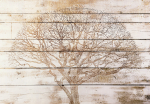 Fototapeet Artgeist Tree On Boards, 70 cm x 100 cm