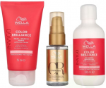 Juuksehoolduse komplekt Wella Professionals Invigo Color Care Set, 3 tk, 275 ml