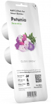 Nutiaia seemned Click & Grow, petuuniad, 40 g, 3 tk