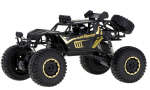 Rc auto 6417_1, 1:8, must v.